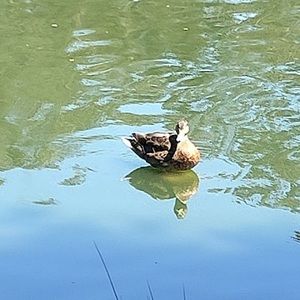 Meet your Posher, Juan carlos